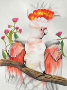 Major Mitchell Cockatoo Australian Souvenir Tea Towels.