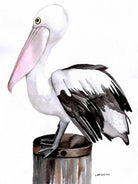 Pelican Tea Towel 100% Cotton.