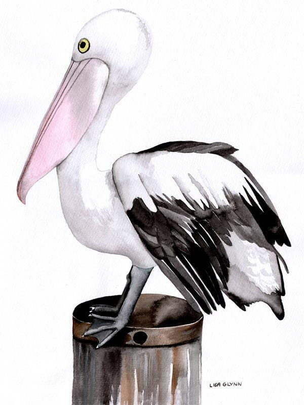 Pelican Tea Towel 100% Cotton.