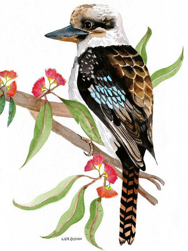 Kookaburra Tea Towel 100% Cotton Designed in Australia.