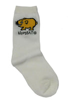 Ozi Varmints 2022 White Socks Koala Design, childrens socks, soxs, kids socks, sourvenir.