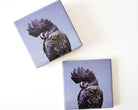 Black Cockatoo Coasters - Set of 4 Ceramic with Cork Backing.